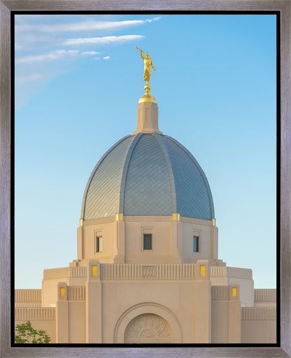 Tucson Morning Glory