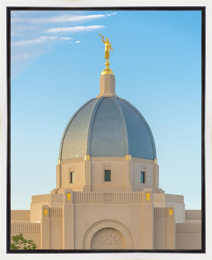 Tucson Morning Glory