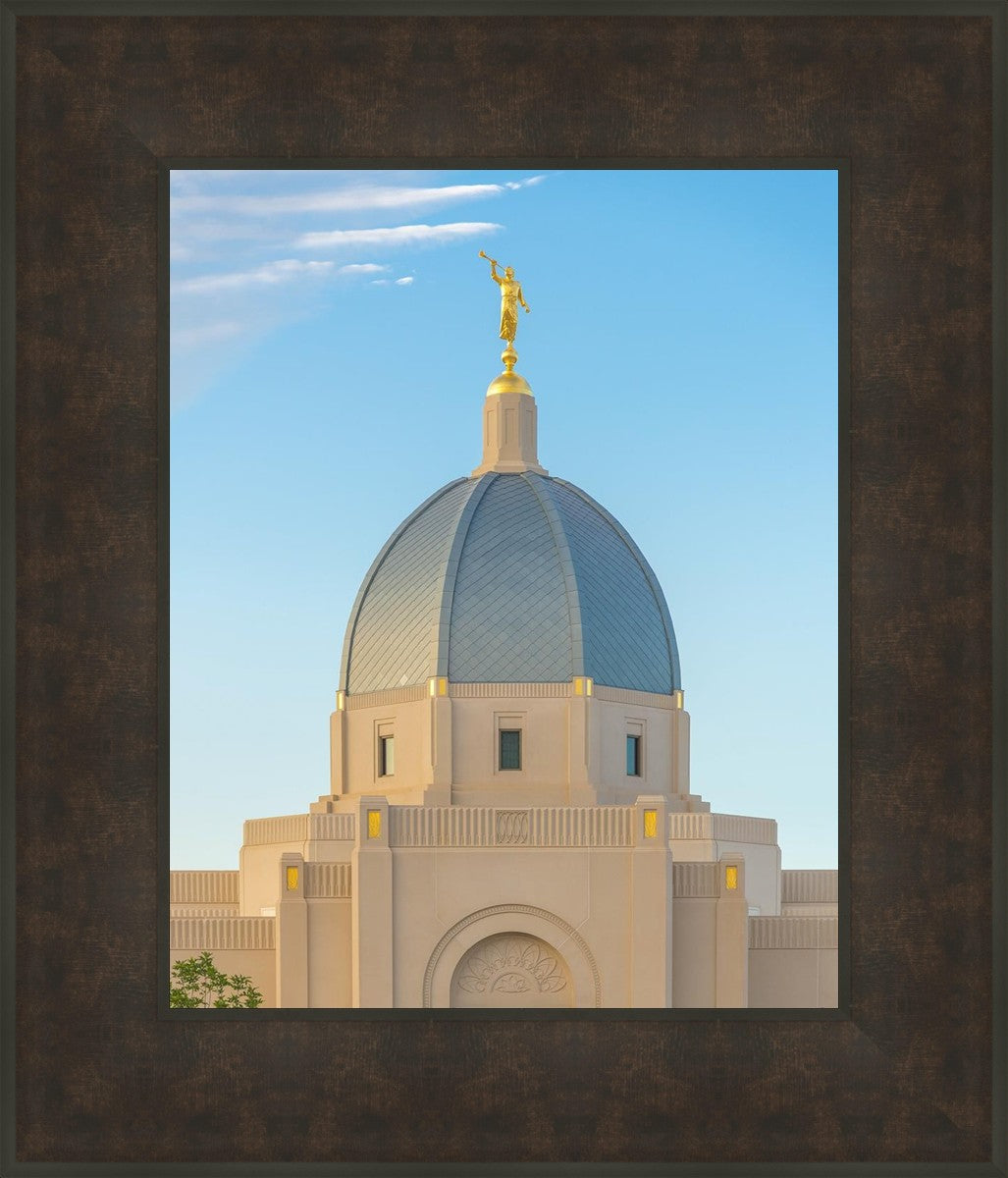 Tucson Morning Glory