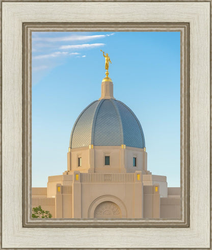 Tucson Morning Glory