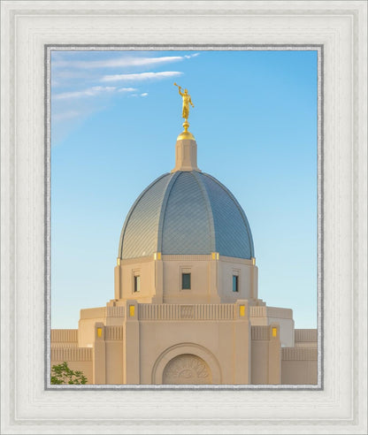 Tucson Morning Glory