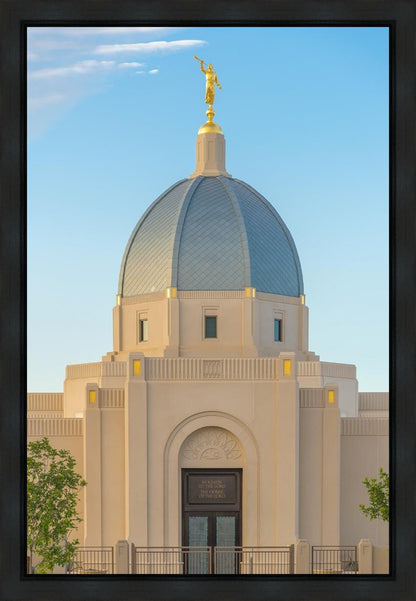 Tucson Morning Glory
