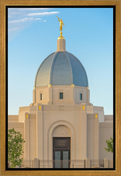 Tucson Morning Glory