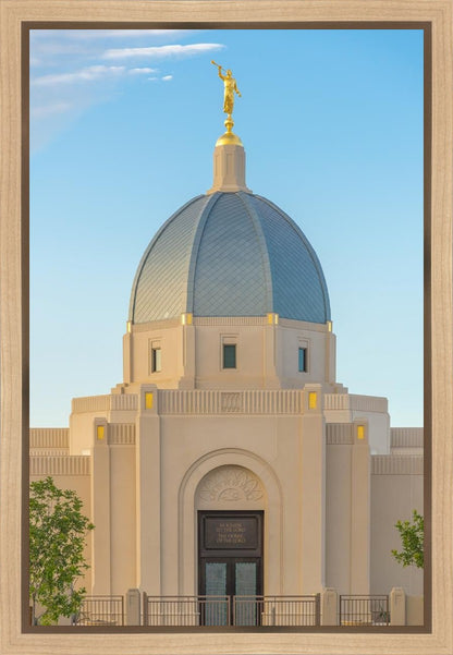 Tucson Morning Glory