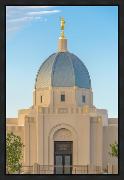 Tucson Morning Glory