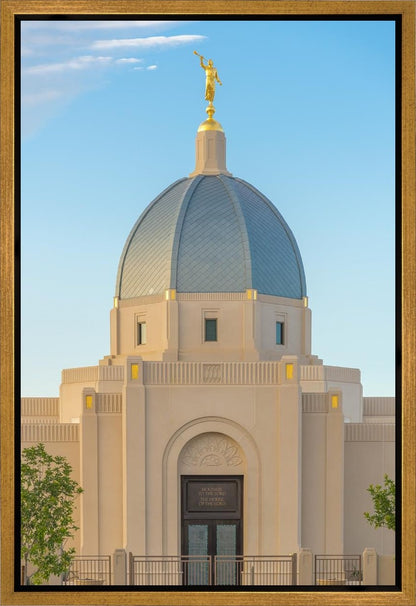 Tucson Morning Glory