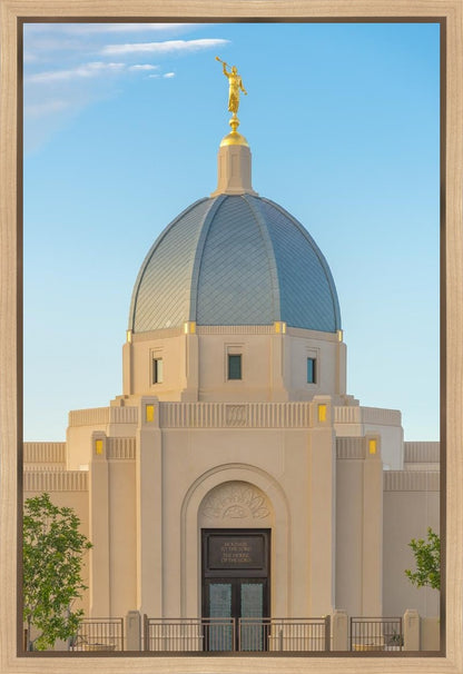 Tucson Morning Glory