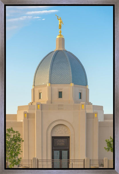 Tucson Morning Glory