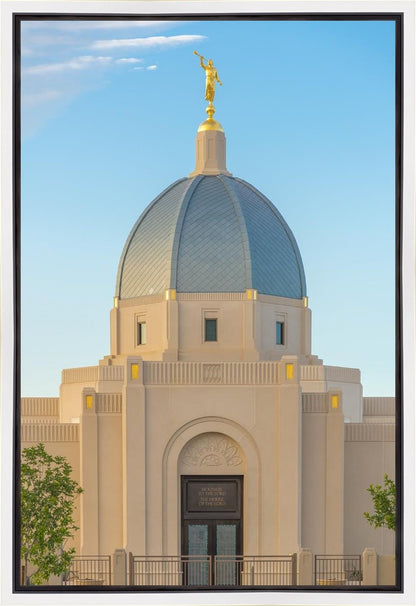 Tucson Morning Glory