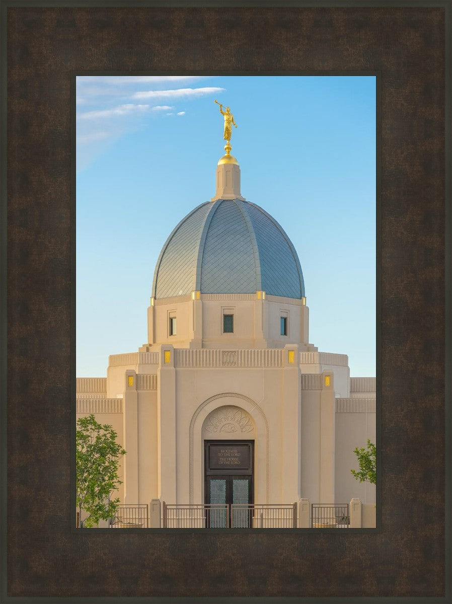 Tucson Morning Glory