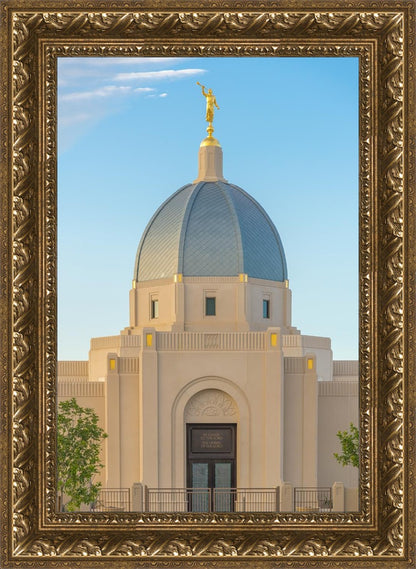 Tucson Morning Glory