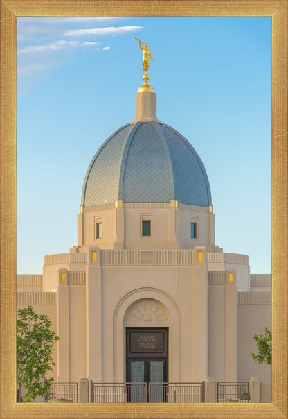 Tucson Morning Glory