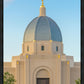 Tucson Morning Glory