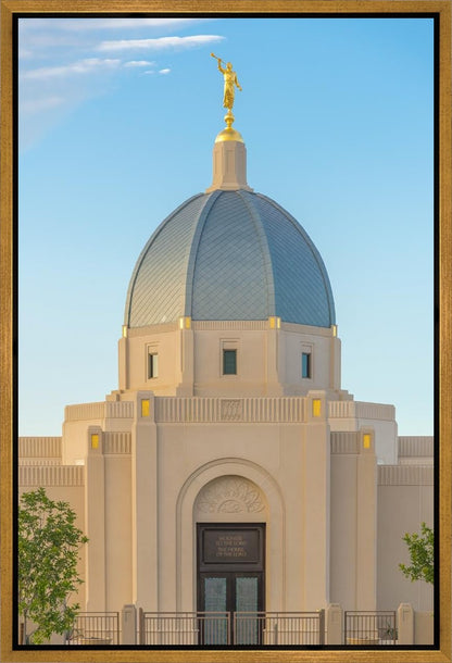 Tucson Morning Glory