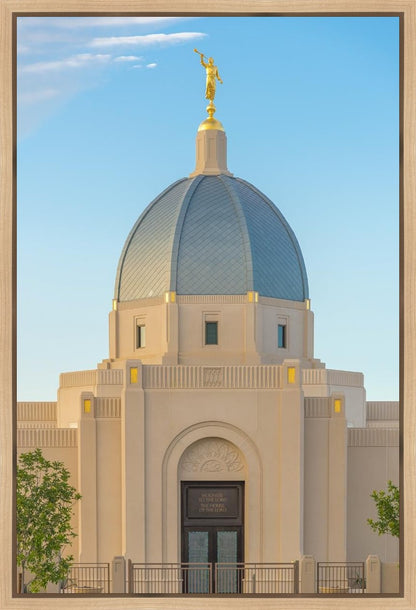 Tucson Morning Glory