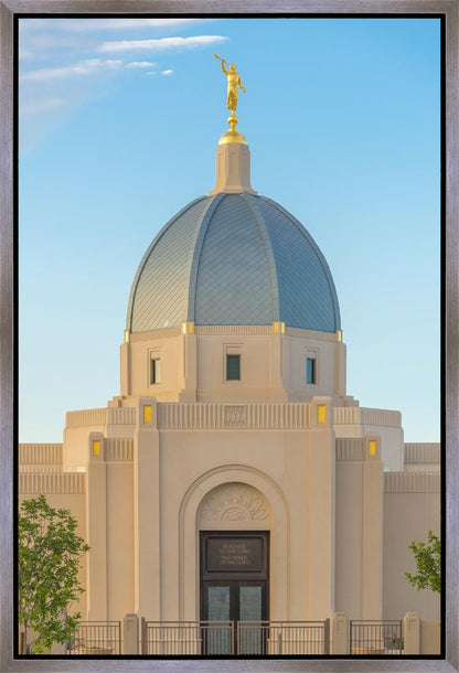 Tucson Morning Glory