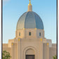 Tucson Morning Glory