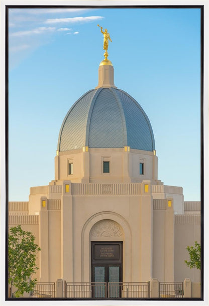 Tucson Morning Glory