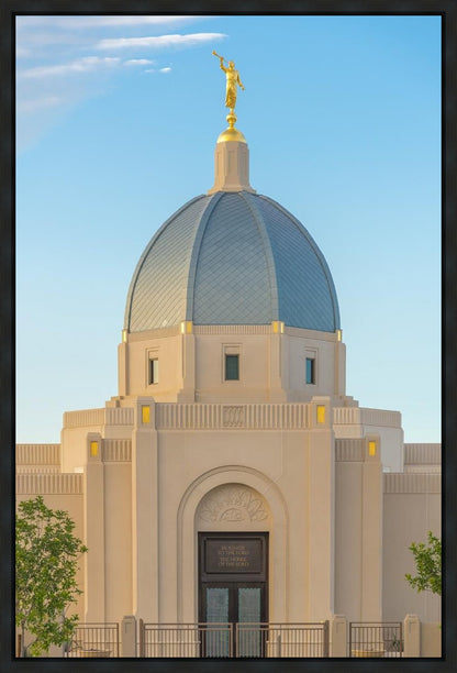 Tucson Morning Glory