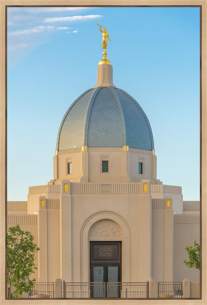 Tucson Morning Glory