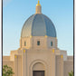 Tucson Morning Glory