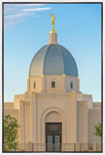 Tucson Morning Glory