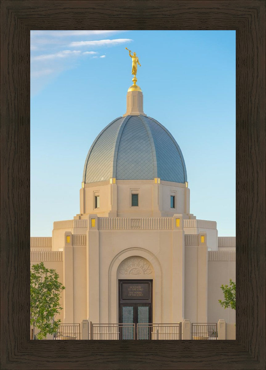 Tucson Morning Glory