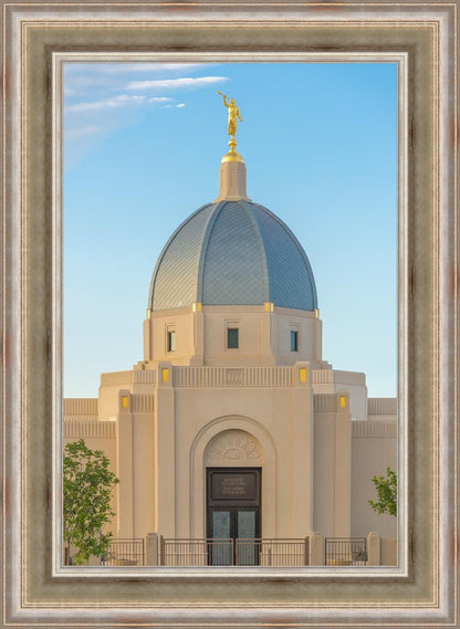 Tucson Morning Glory