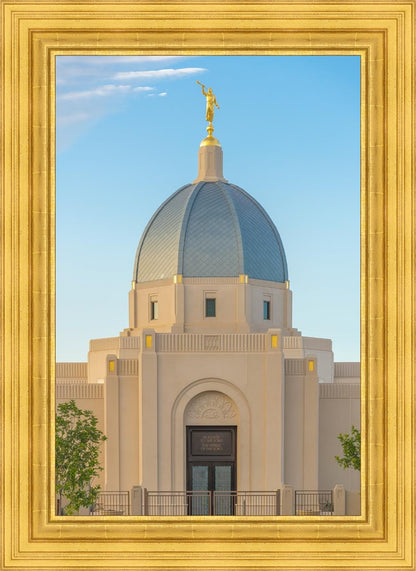 Tucson Morning Glory