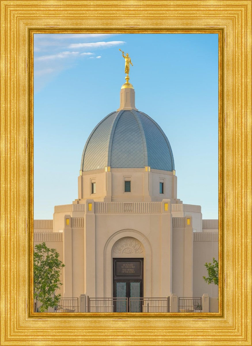 Tucson Morning Glory