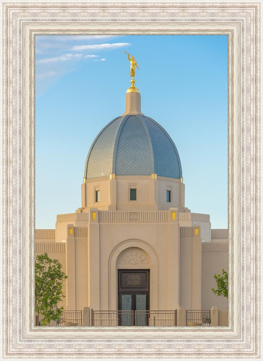 Tucson Morning Glory