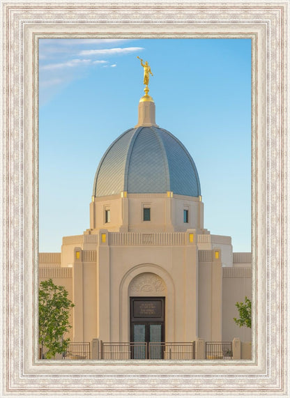 Tucson Morning Glory