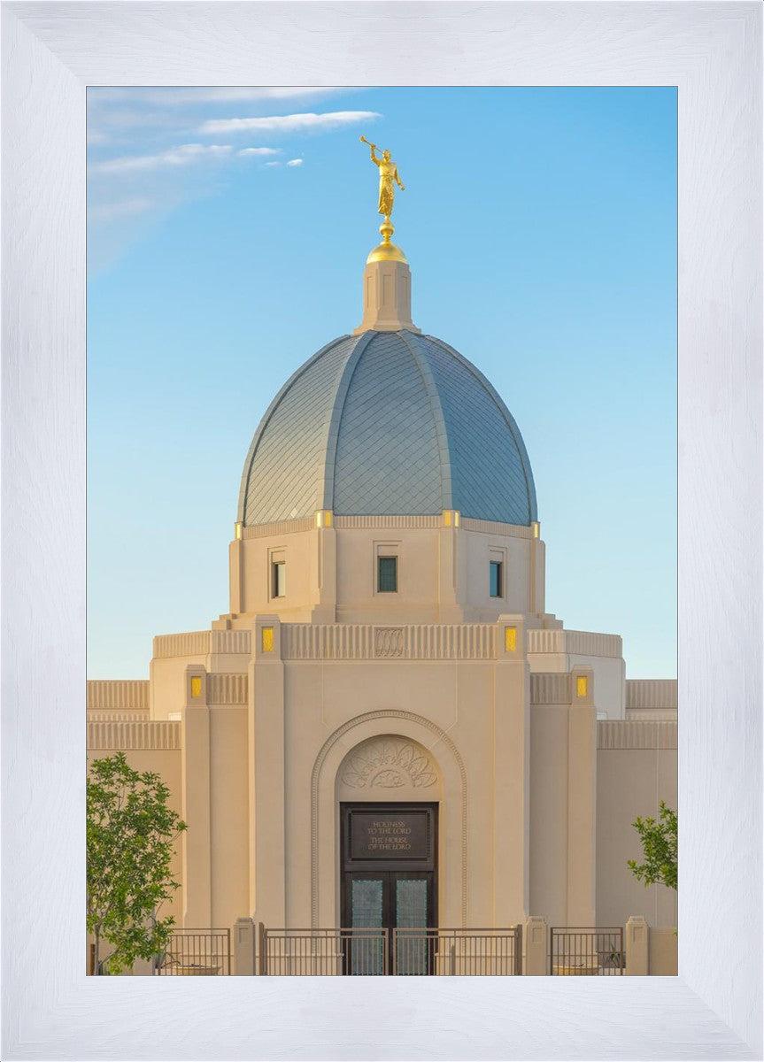 Tucson Morning Glory