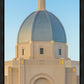 Tucson Morning Glory