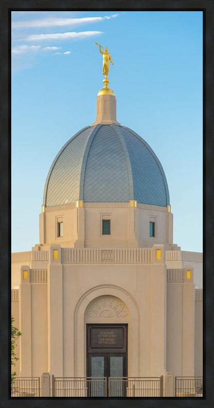 Tucson Morning Glory