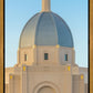 Tucson Morning Glory