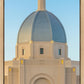 Tucson Morning Glory