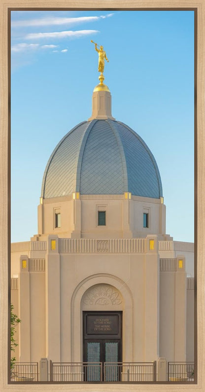 Tucson Morning Glory