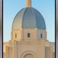 Tucson Morning Glory