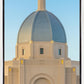 Tucson Morning Glory