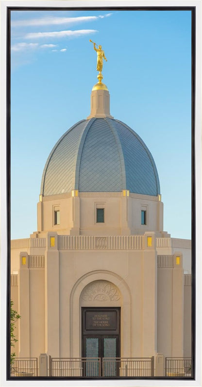 Tucson Morning Glory