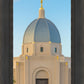 Tucson Morning Glory
