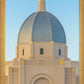 Tucson Morning Glory