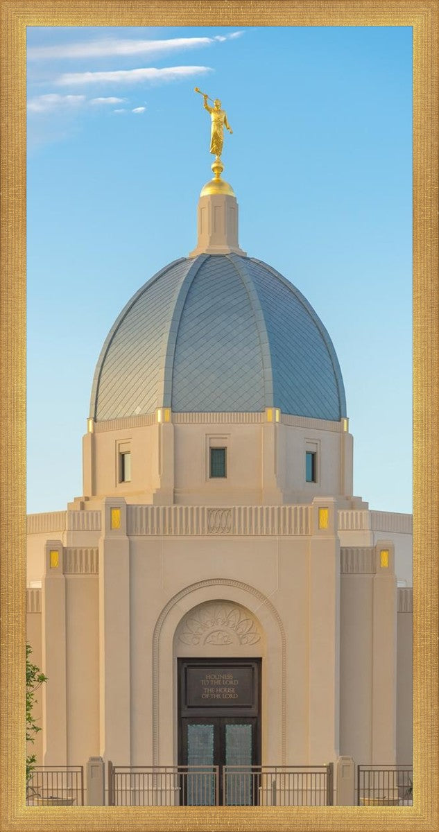 Tucson Morning Glory