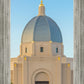 Tucson Morning Glory