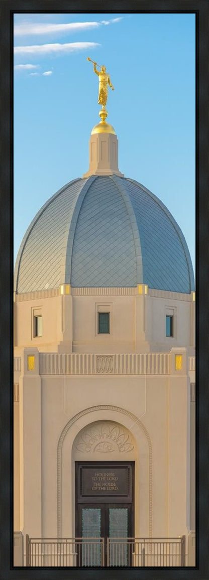 Tucson Morning Glory