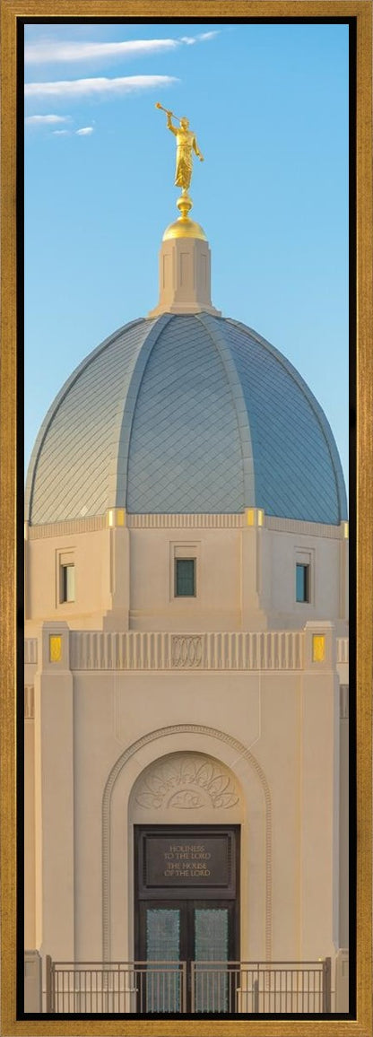 Tucson Morning Glory