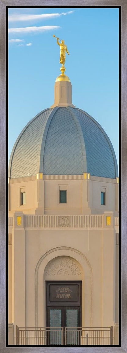 Tucson Morning Glory