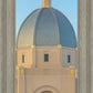 Tucson Morning Glory