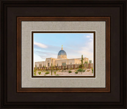 Tucson Peaceful Morning